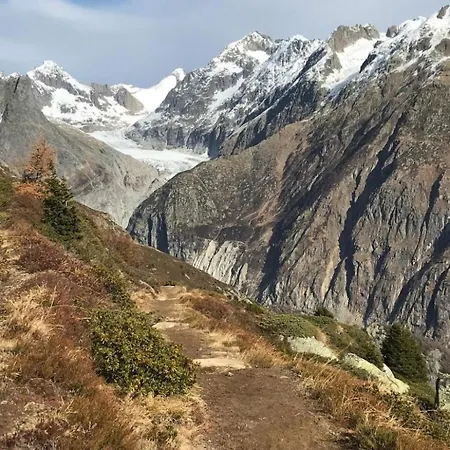 Thermik 3 1- Og Sued By Interhome Appartement Fieschertal