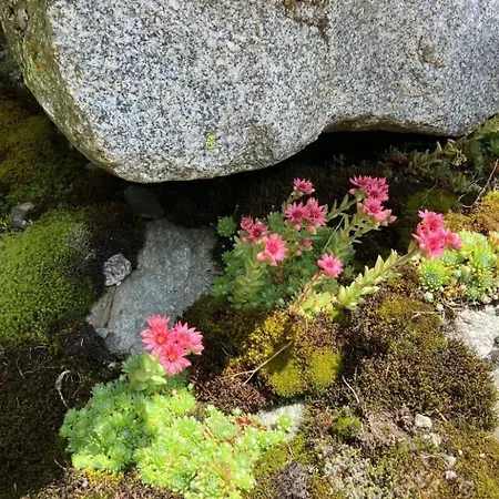 Thermik 3 1- Og Sued By Interhome *